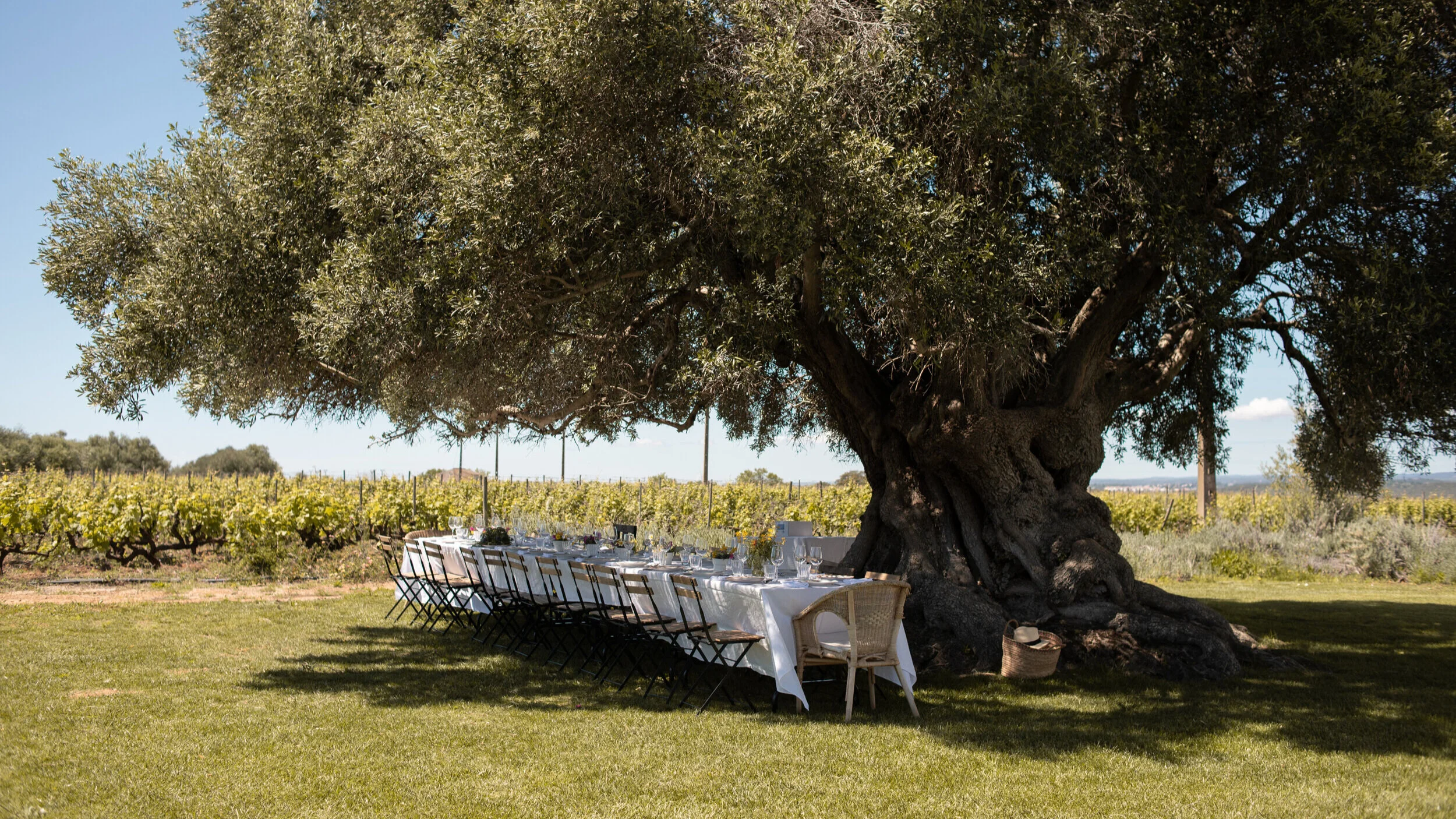 algarve wedding venues morgado do quintao